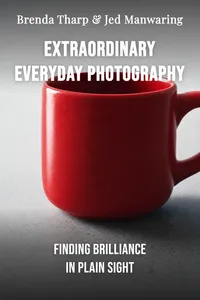 Extraordinary Everyday Photography