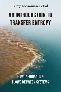 An Introduction to Transfer Entropy