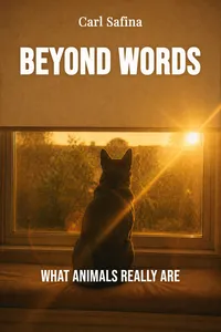 Beyond Words