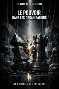 Couverture de 'Le pouvoir dans les organisations'