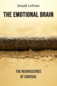 The Emotional Brain