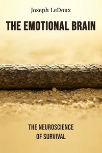 The Emotional Brain