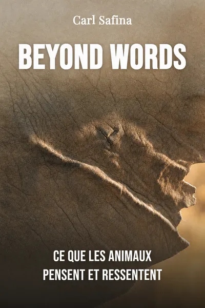 Beyond Words