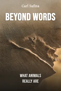 Beyond Words