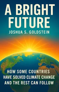 Cover of 'A bright future'