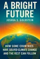 Cover of 'A bright future'