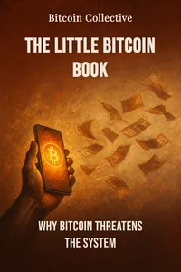 The Little Bitcoin Book