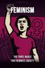Cover of 'Feminism'