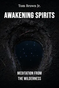 Awakening Spirits