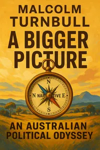 Cover of 'A bigger picture'