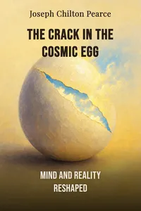 The Crack in the Cosmic Egg