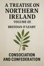 Cover of 'A treatise on northern ireland volume iii'