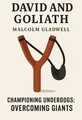 Cover of 'David and goliath'