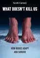 What Doesn't Kill Us