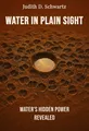 Water in Plain Sight
