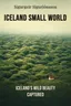 Iceland Small World
