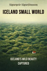 Iceland Small World