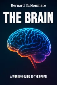 The Brain