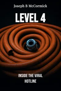 Level 4