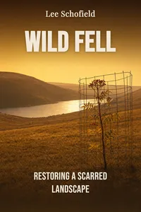 Wild Fell