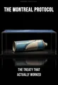 Cover of 'The montreal protocol'