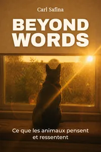 Beyond Words