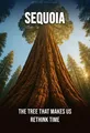Sequoia