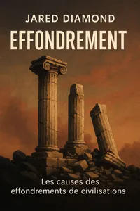 Couverture de 'Effondrement'