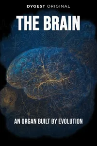 The Brain