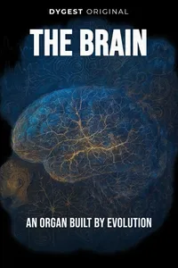 The Brain